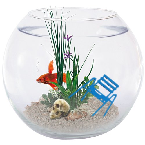 aquarium